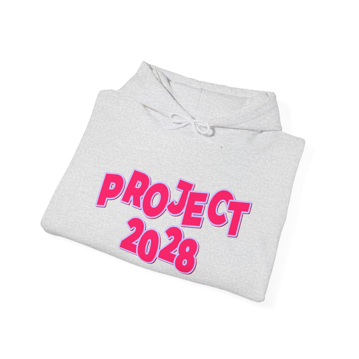 Project 2028 Hoodie | Social Awareness