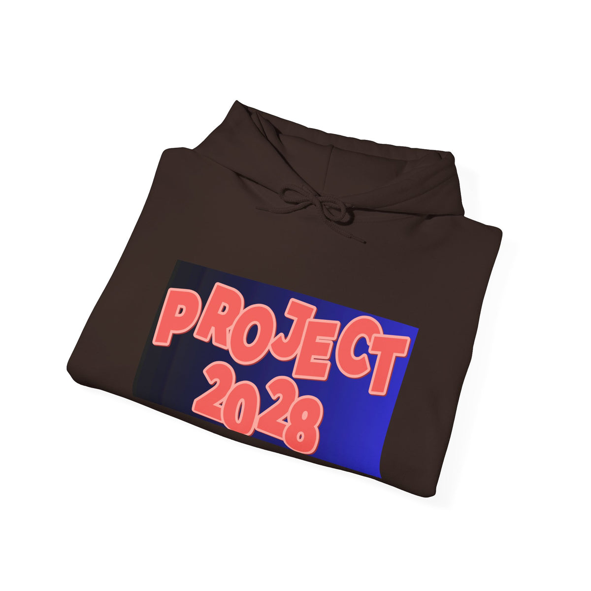 Project 2028 Hoodie | Social Justice