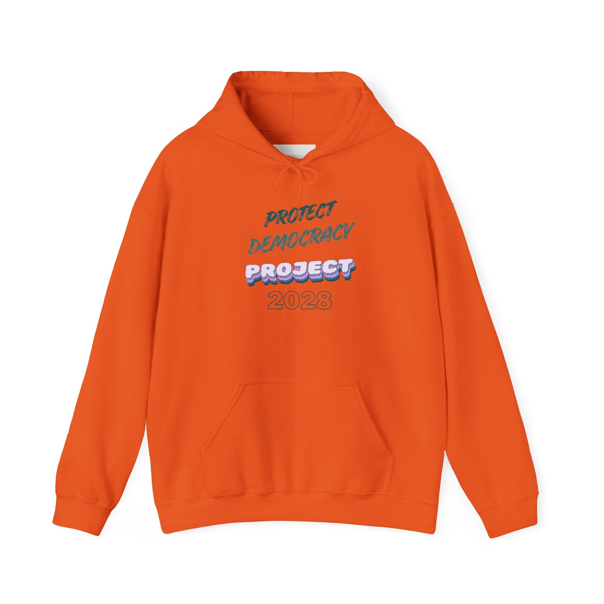 Project 2028 Hoodie | Protect Democracy, Project 2028 design