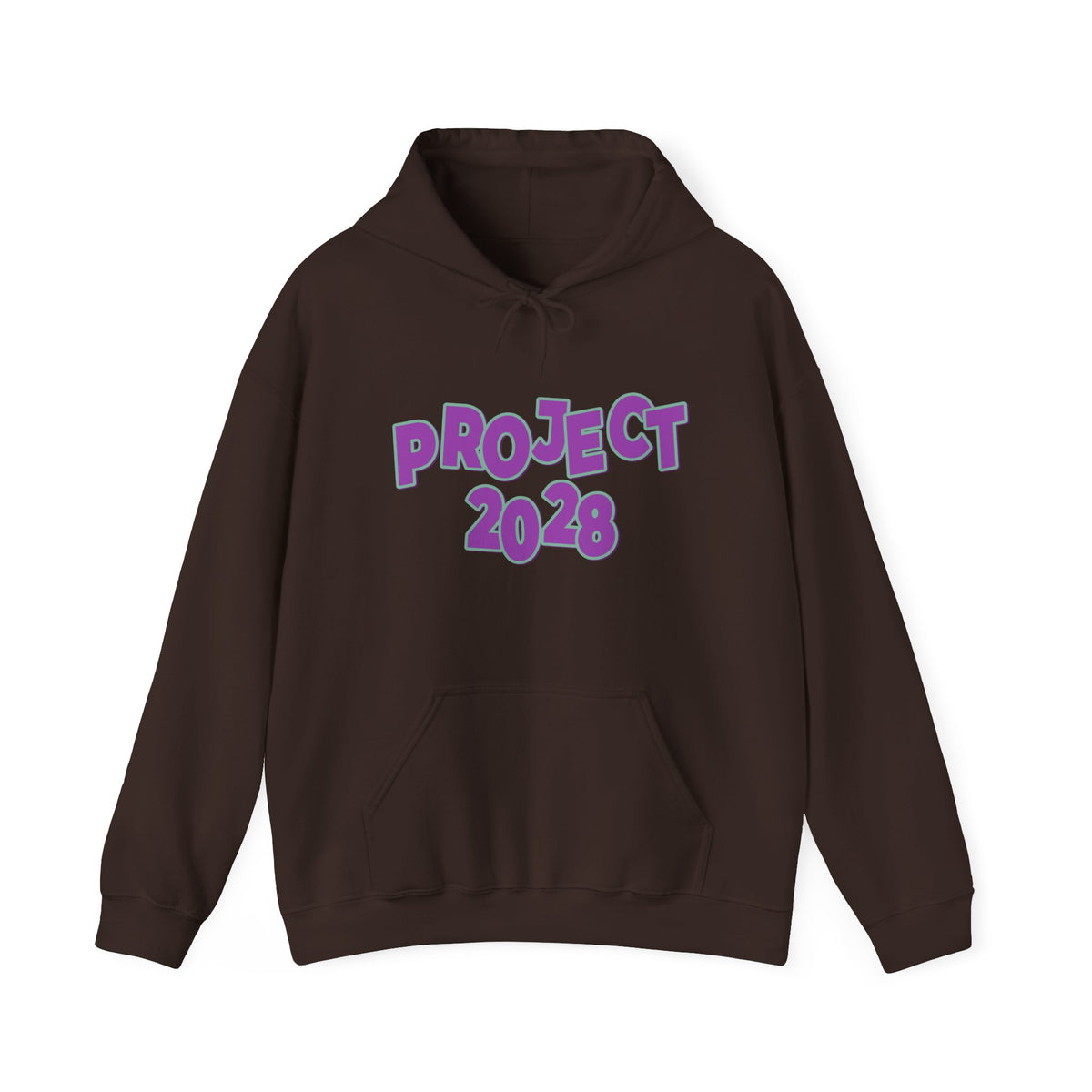 Project 2028 Hoodie | Democracy | Social Awareness