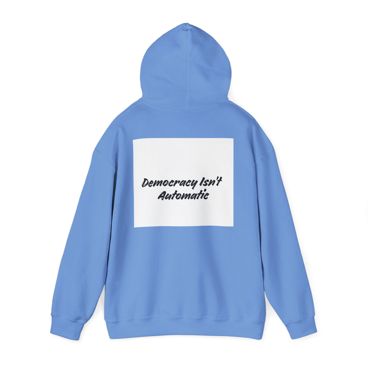 Protect Democracy Project 2028 Hoodie | Social Awareness