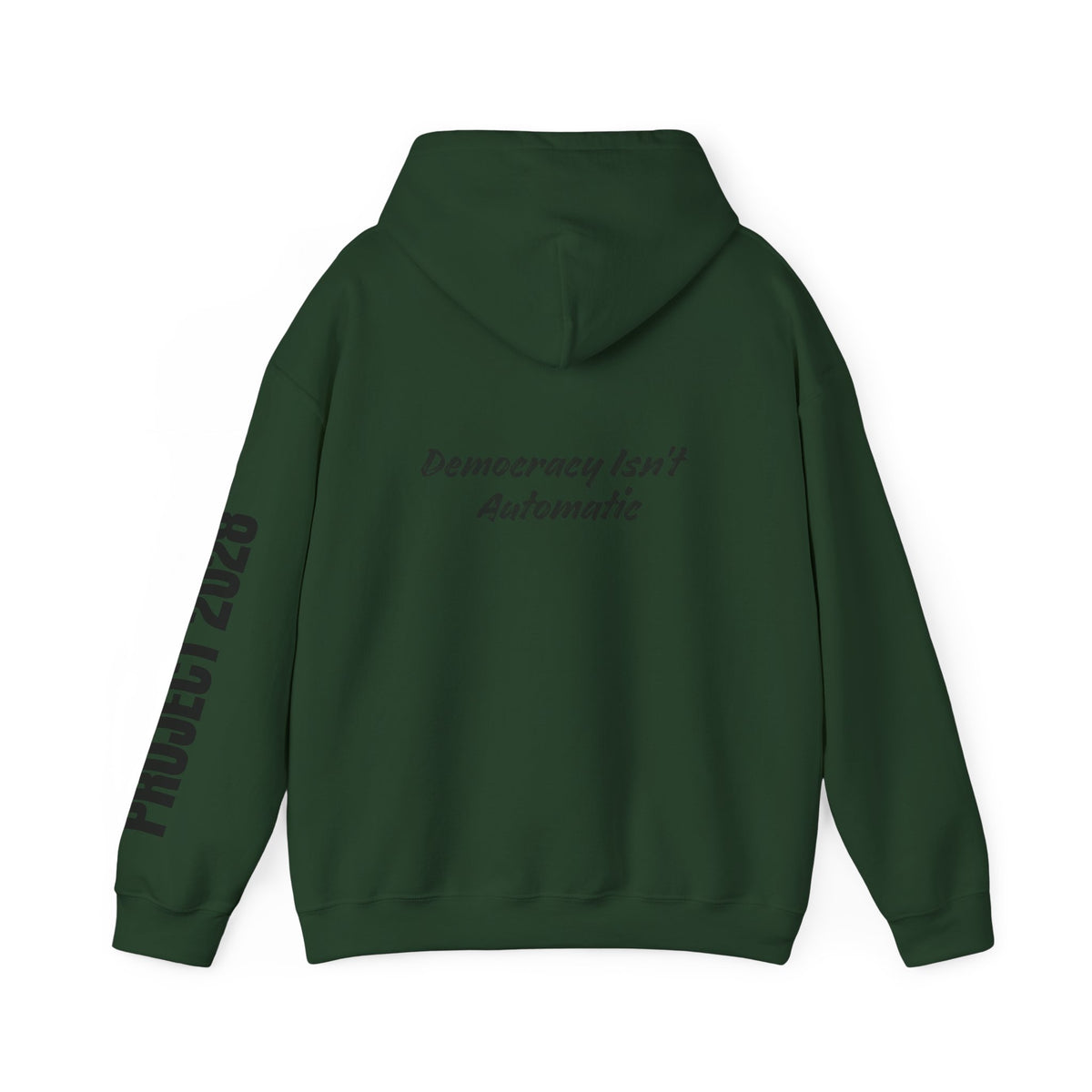 Protect Democracy Project 2028 Hoodie | Social Awareness