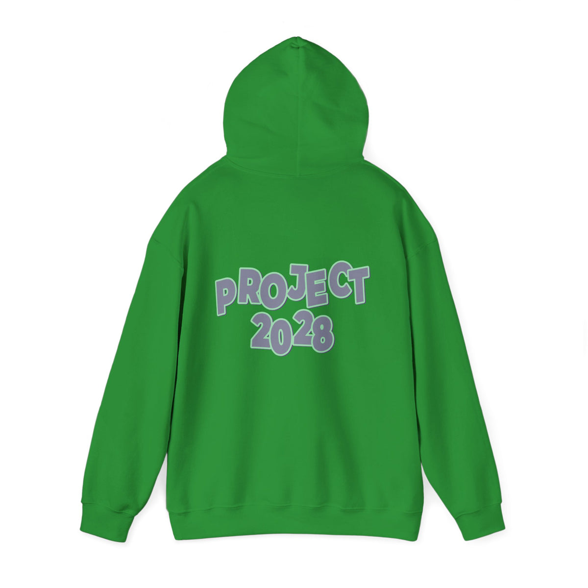 Project 2028 Hoodie | Protect Democracy graphic hoodie