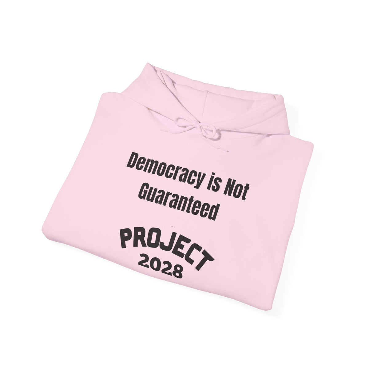 Project 2028 hoodie | Democracy | Social Awareness