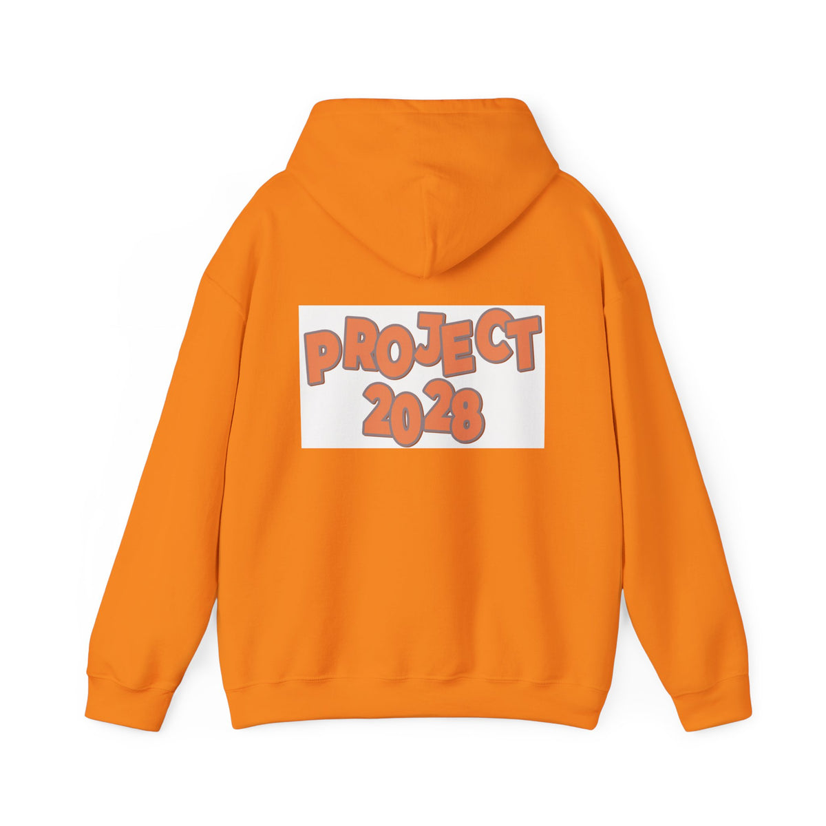 Project 2028 Hoodie | Retro Bubble Letter Design