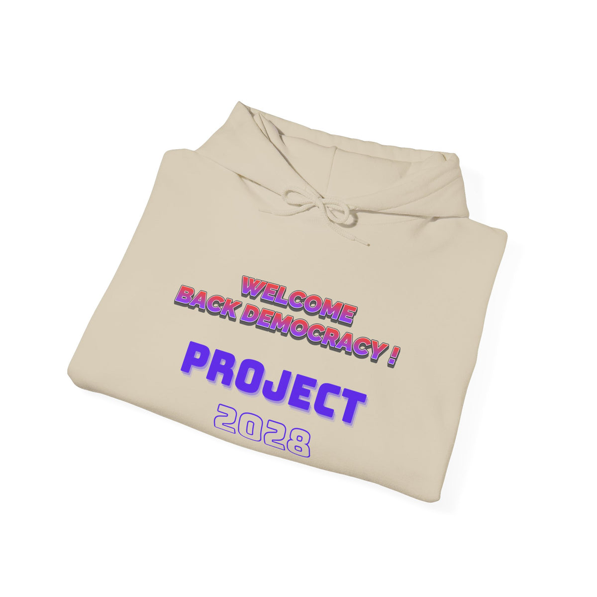 Project 2028 hoodie | Retro purple text design