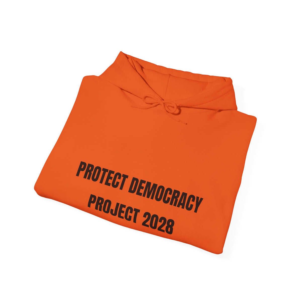 Protect Democracy Project 2028 Hoodie | democracy text design