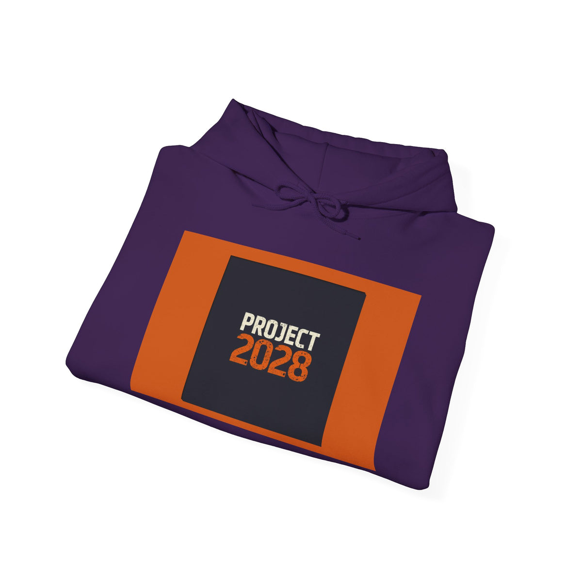 Project 2108 Graphic Hoodie | Democracy Isn't Automatic Back Print
