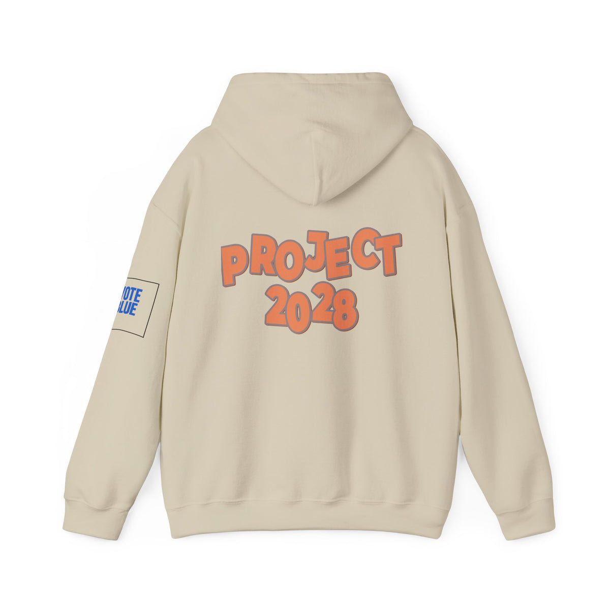 Protect Democracy Project 2028 Hoodie | Social Awareness