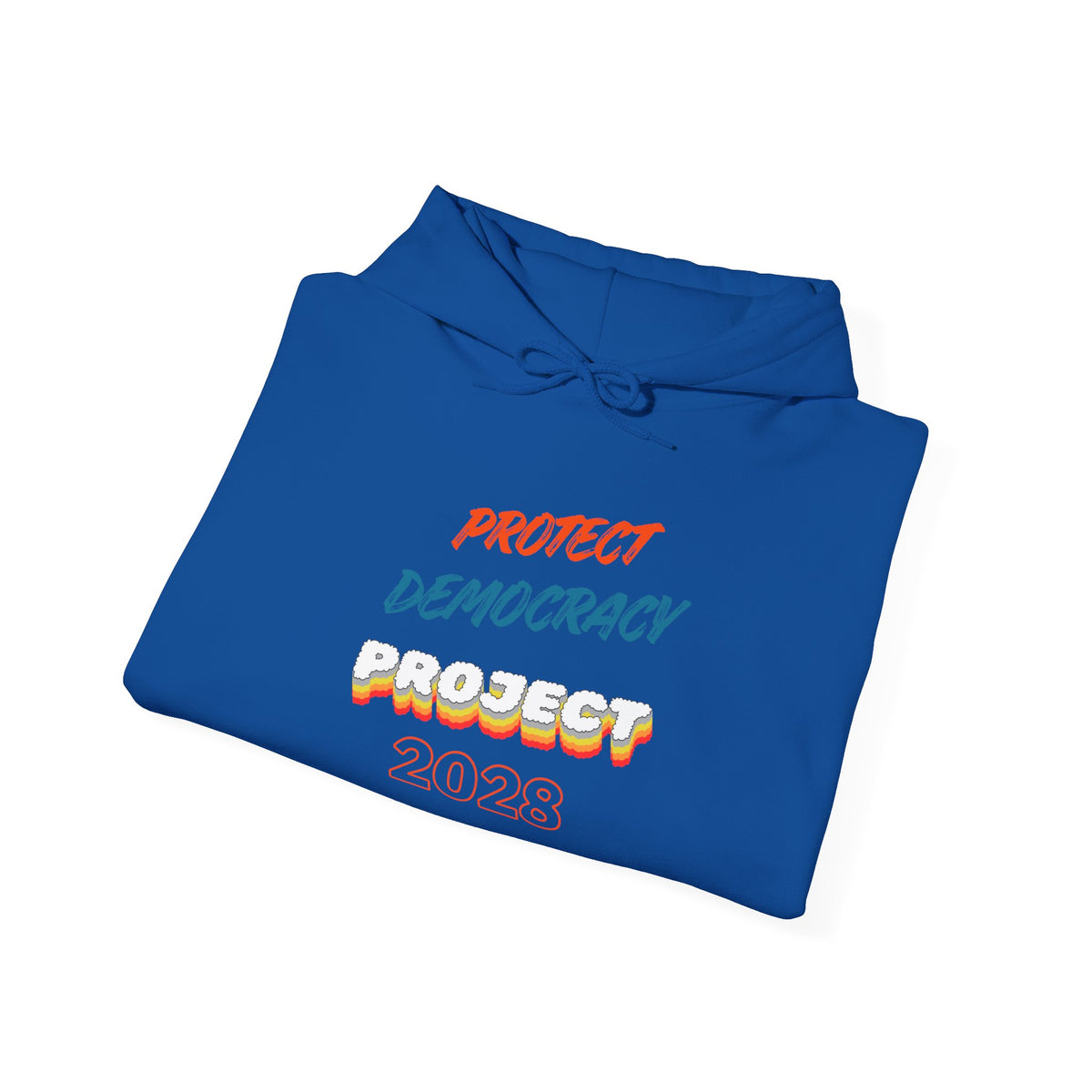Protect Democracy Project 2028 Hoodie | Social Awareness