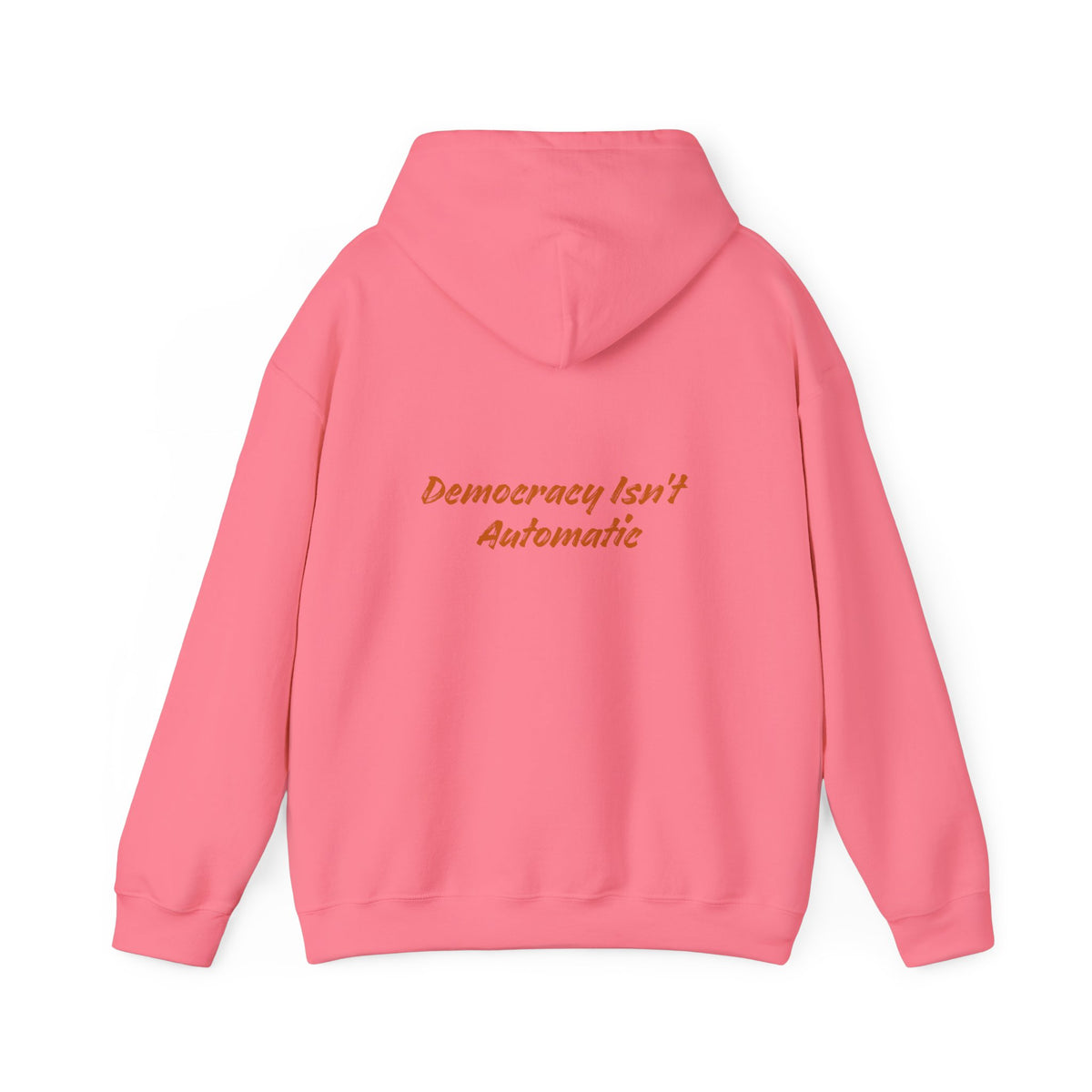 Copy of Copy of Project 2028 Graphic Hoodie | Democracy