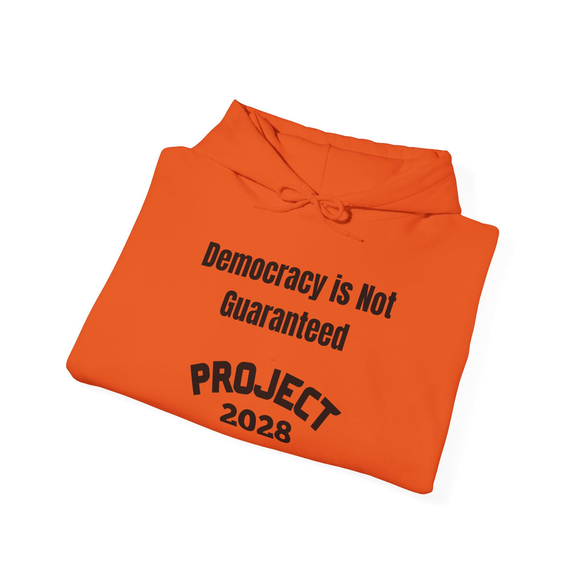 Copy of Project 2028 hoodie | Democracy | Social Awareness