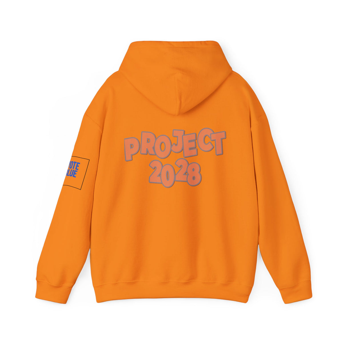 Protect Democracy Project 2028 Hoodie | Social Awareness