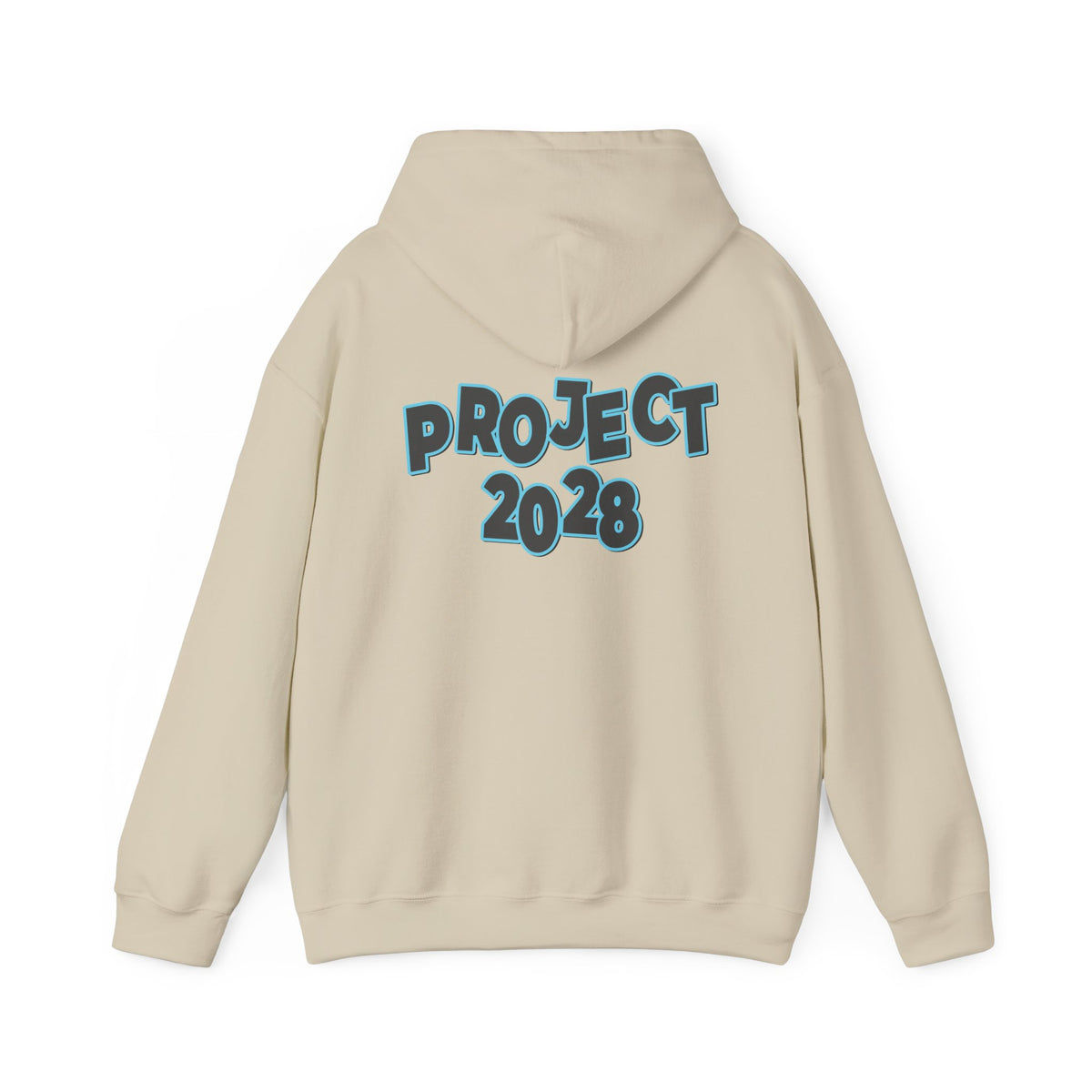 Project 2028 Hoodie | Protect Democracy, Project 2028 design