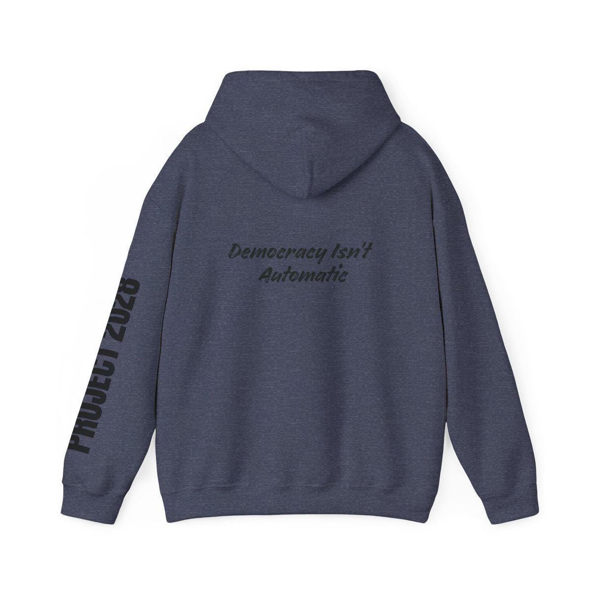 Protect Democracy Project 2028 Hoodie | Social Awareness