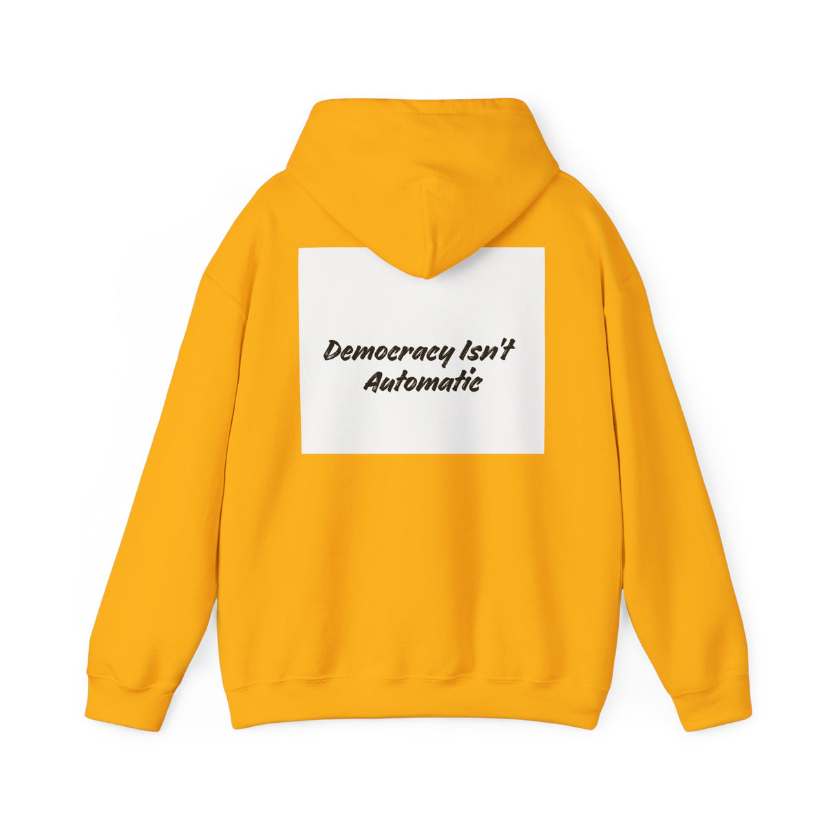 Protect Democracy Project 2028 Hoodie | Social Awareness
