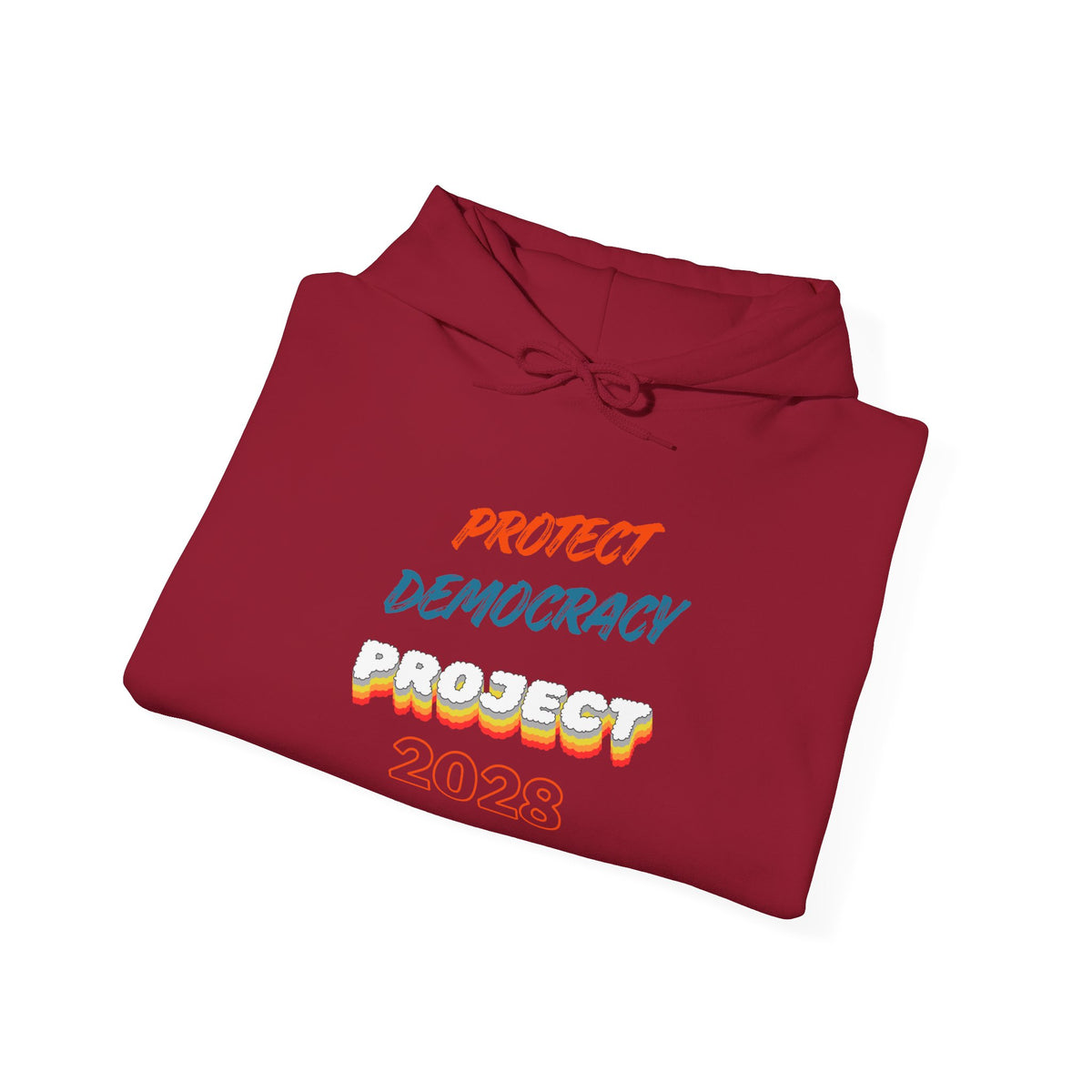 Protect Democracy Project 2028 Hoodie | Social Awareness