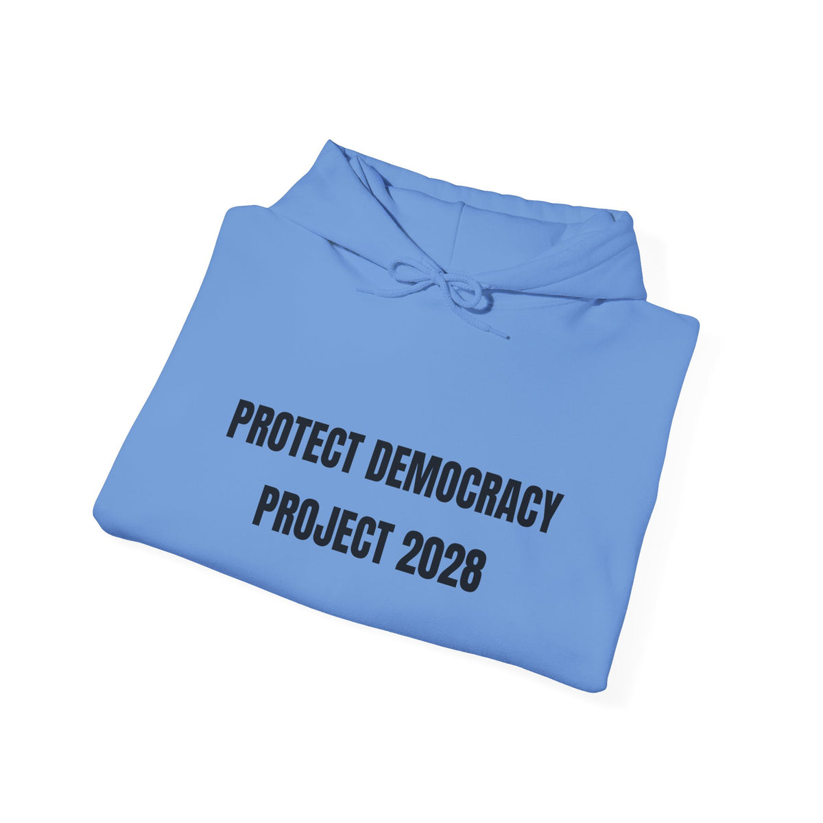 Protect Democracy Project 2028 Hoodie | Social Awareness