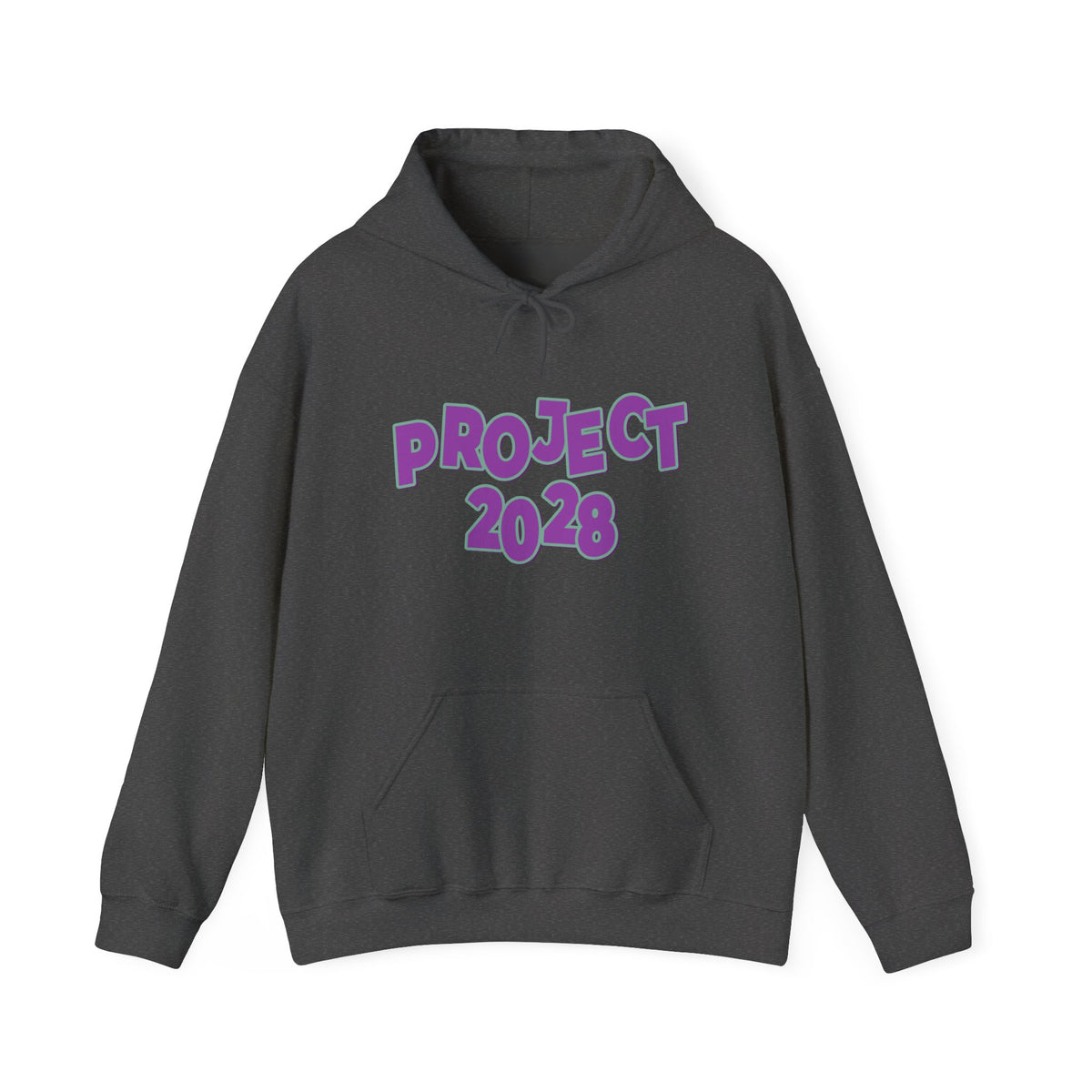 Project 2028 Hoodie | Democracy | Social Awareness