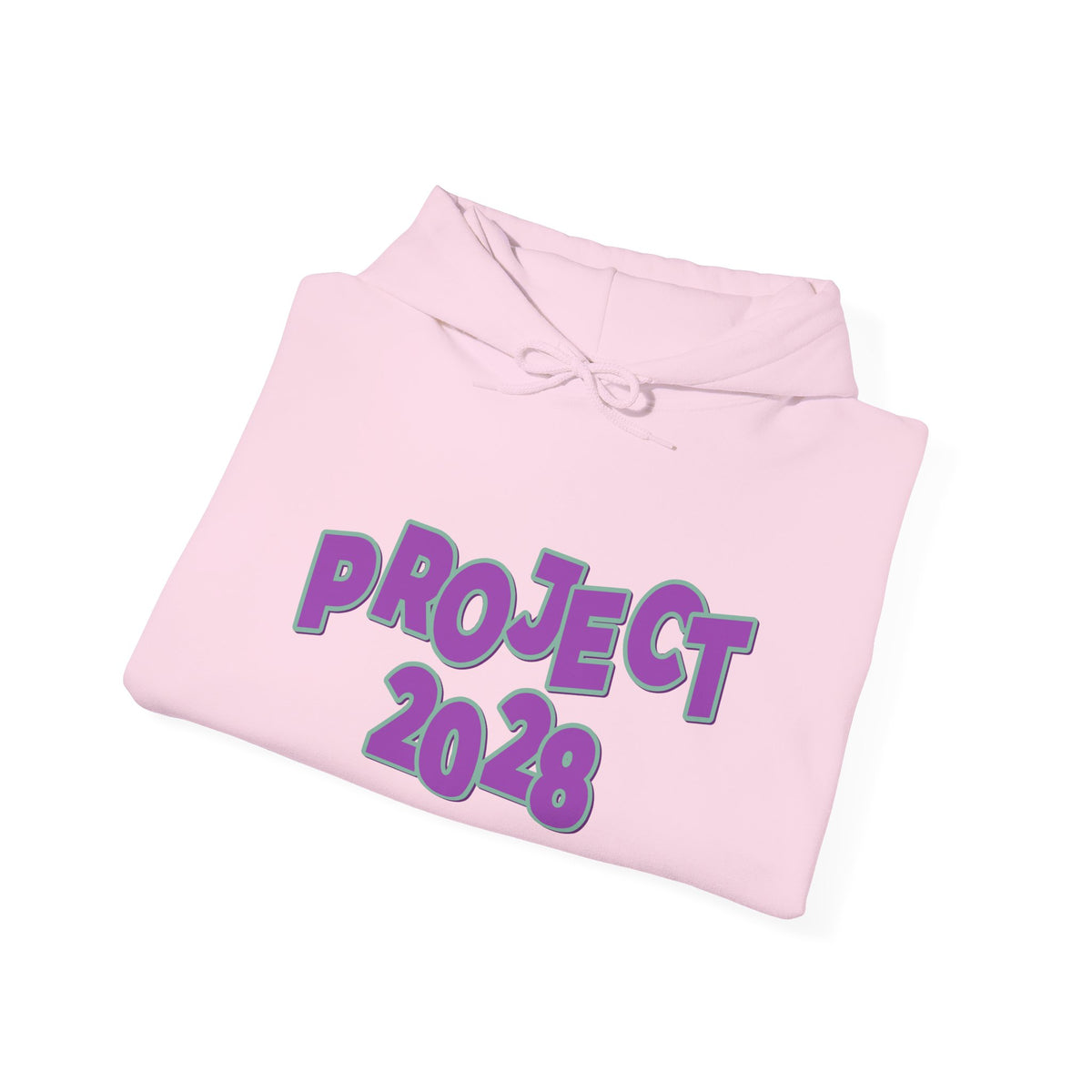 Project 2028 Hoodie | Democracy | Social Awareness