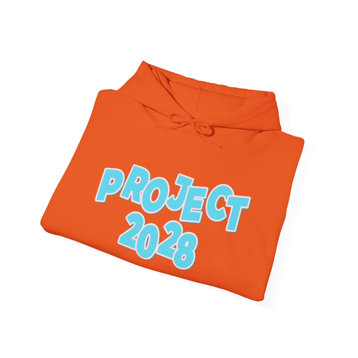 Project 2028 Hoodie | Democracy | Social Awareness