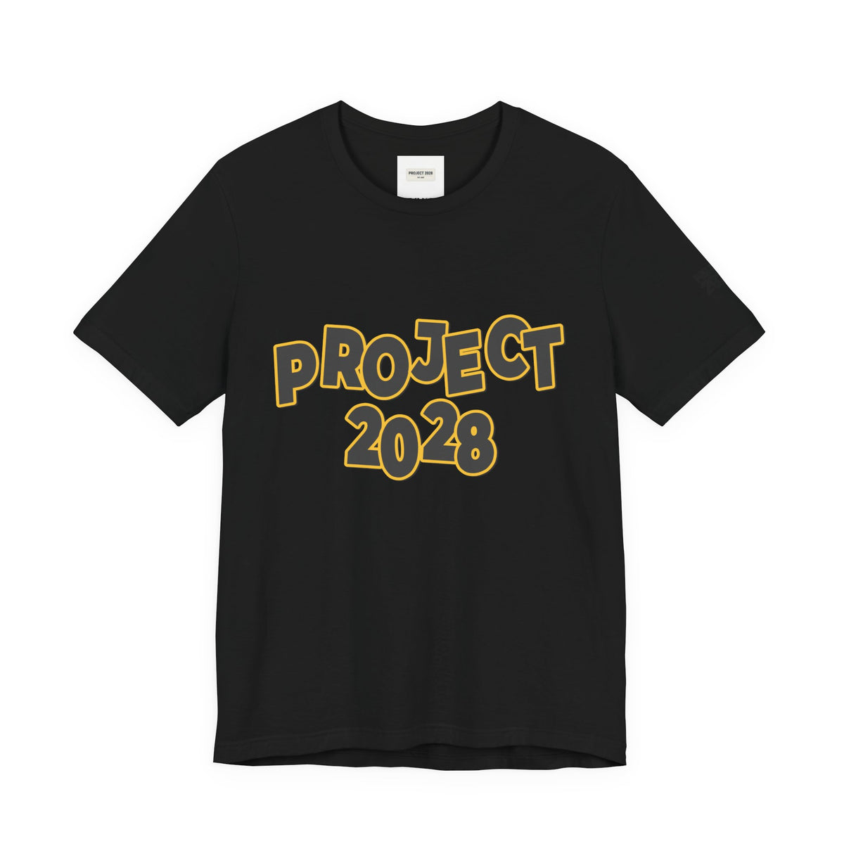 Project 2028 Graphic Tee — "Spirit Airlines Is Gone. Democracy Could Be Next. Vote Blue." Political Statement T-Shirt - Make a Statement Without Saying a Word!