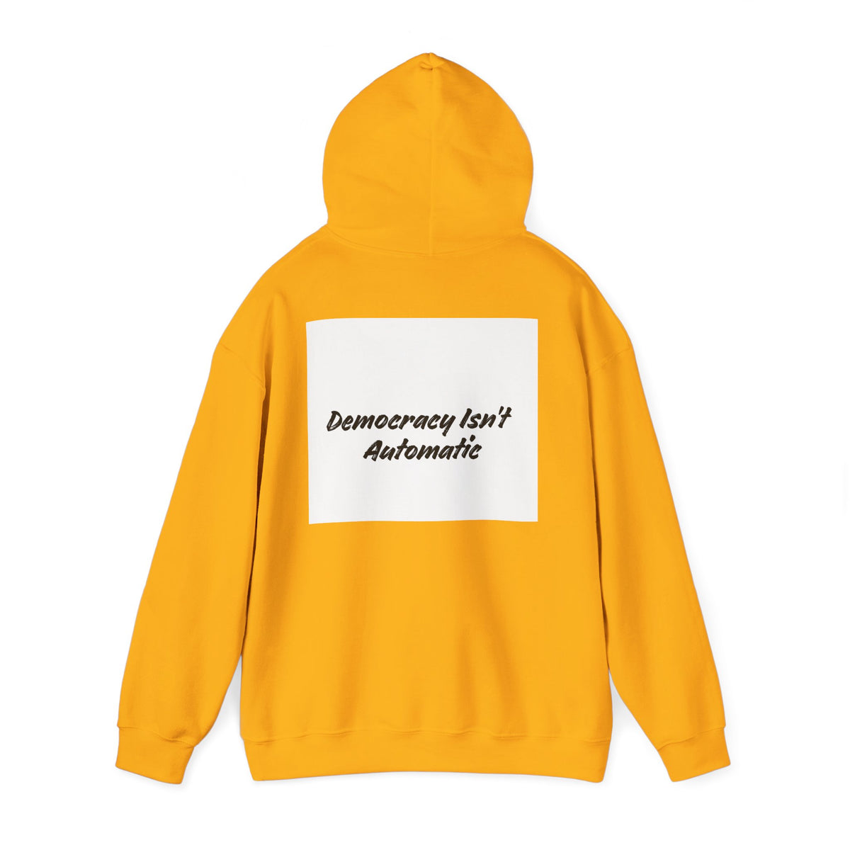 Protect Democracy Project 2028 Hoodie | Social Awareness