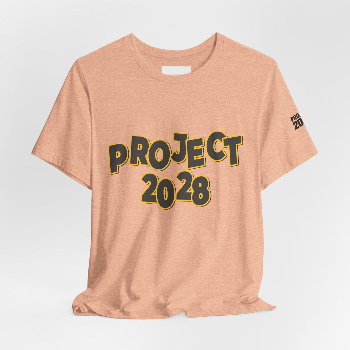 Project 2028 Graphic Tee — "Spirit Airlines Is Gone. Democracy Could Be Next. Vote Blue." Political Statement T-Shirt - Make a Statement Without Saying a Word!