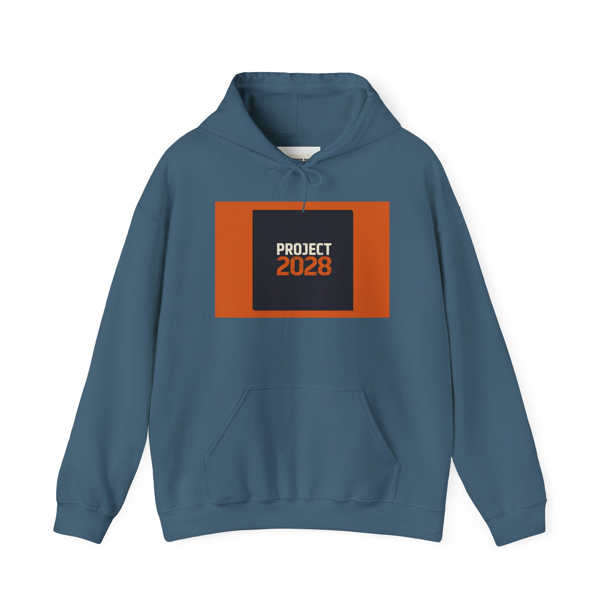 Copy of Copy of Project 2028 Graphic Hoodie | Democracy