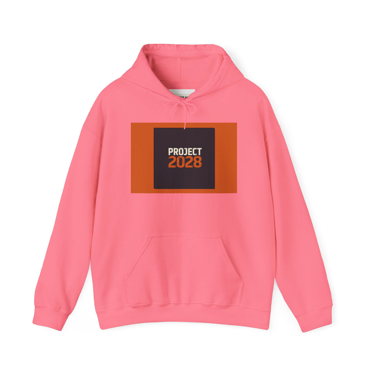 Copy of Copy of Project 2028 Graphic Hoodie | Democracy