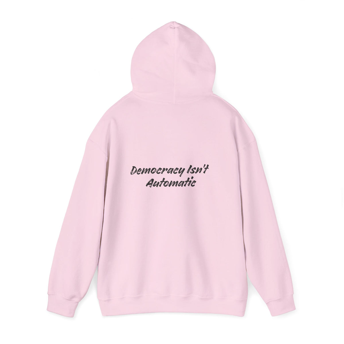 Protect Democracy Project 2028 Hoodie | democracy text design