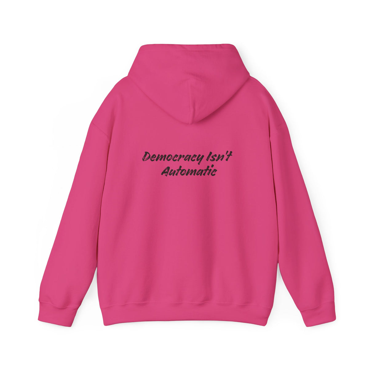 Protect Democracy Project 2028 Hoodie | democracy text design