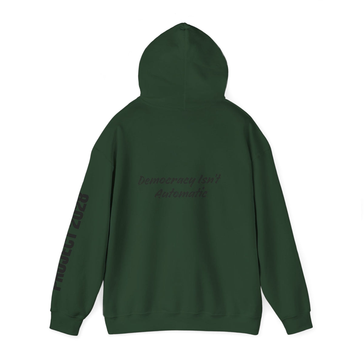 Protect Democracy Project 2028 Hoodie | Social Awareness
