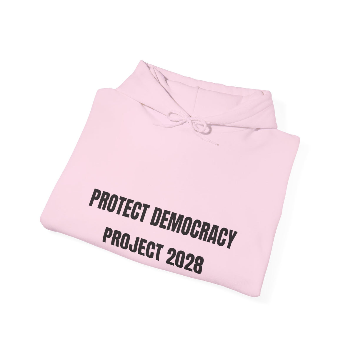 Protect Democracy Project 2028 Hoodie | democracy text design