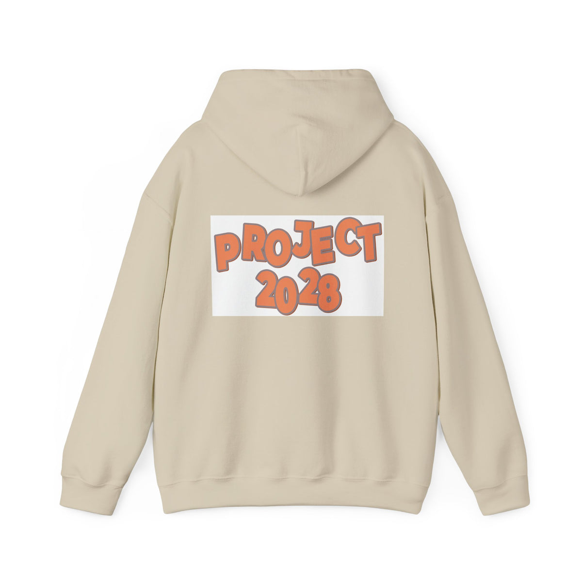 Project 2028 Hoodie | Protect Democracy text design