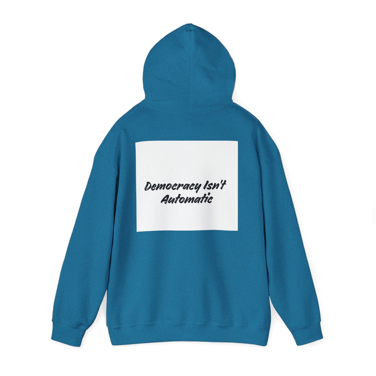 Protect Democracy Project 2028 Hoodie | Social Awareness