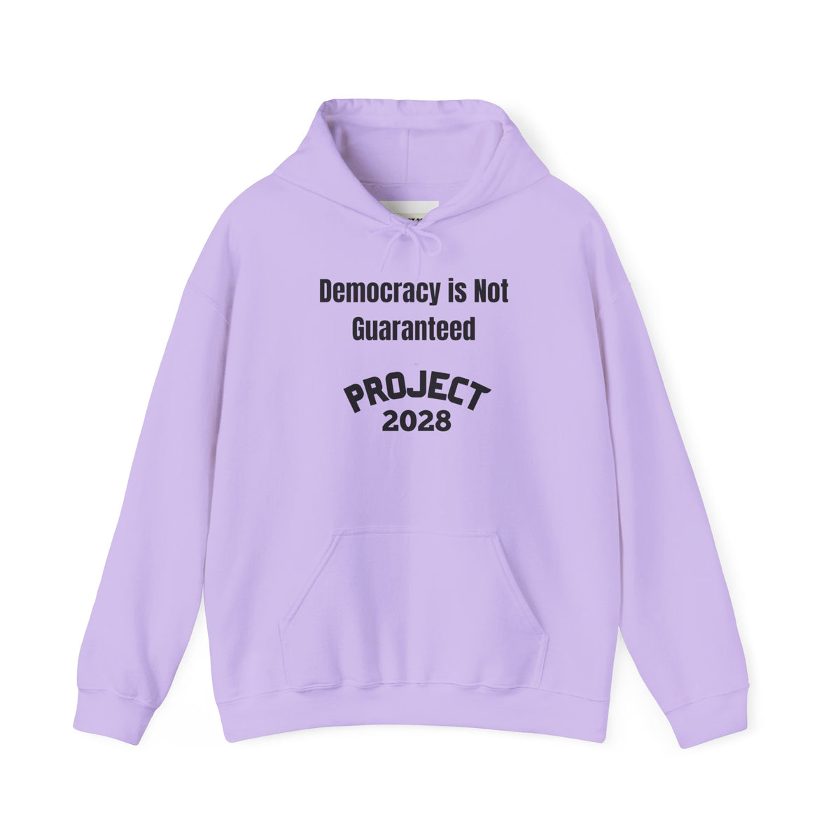 Project 2028 hoodie | Democracy | Social Awareness