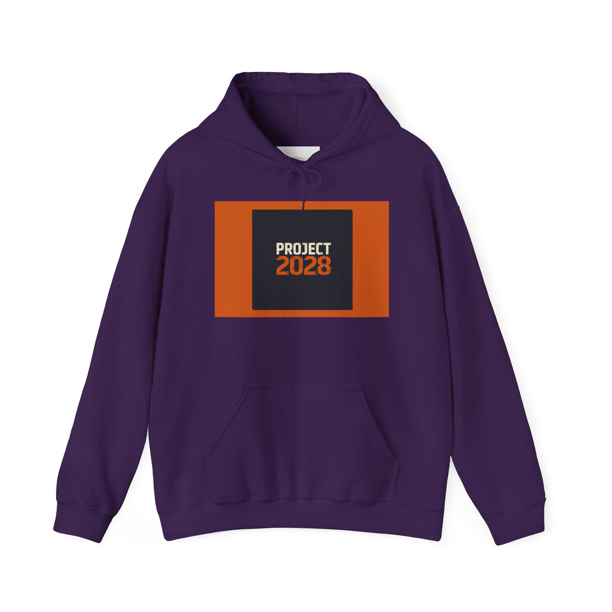 Project 2108 Graphic Hoodie | Democracy Isn't Automatic Back Print