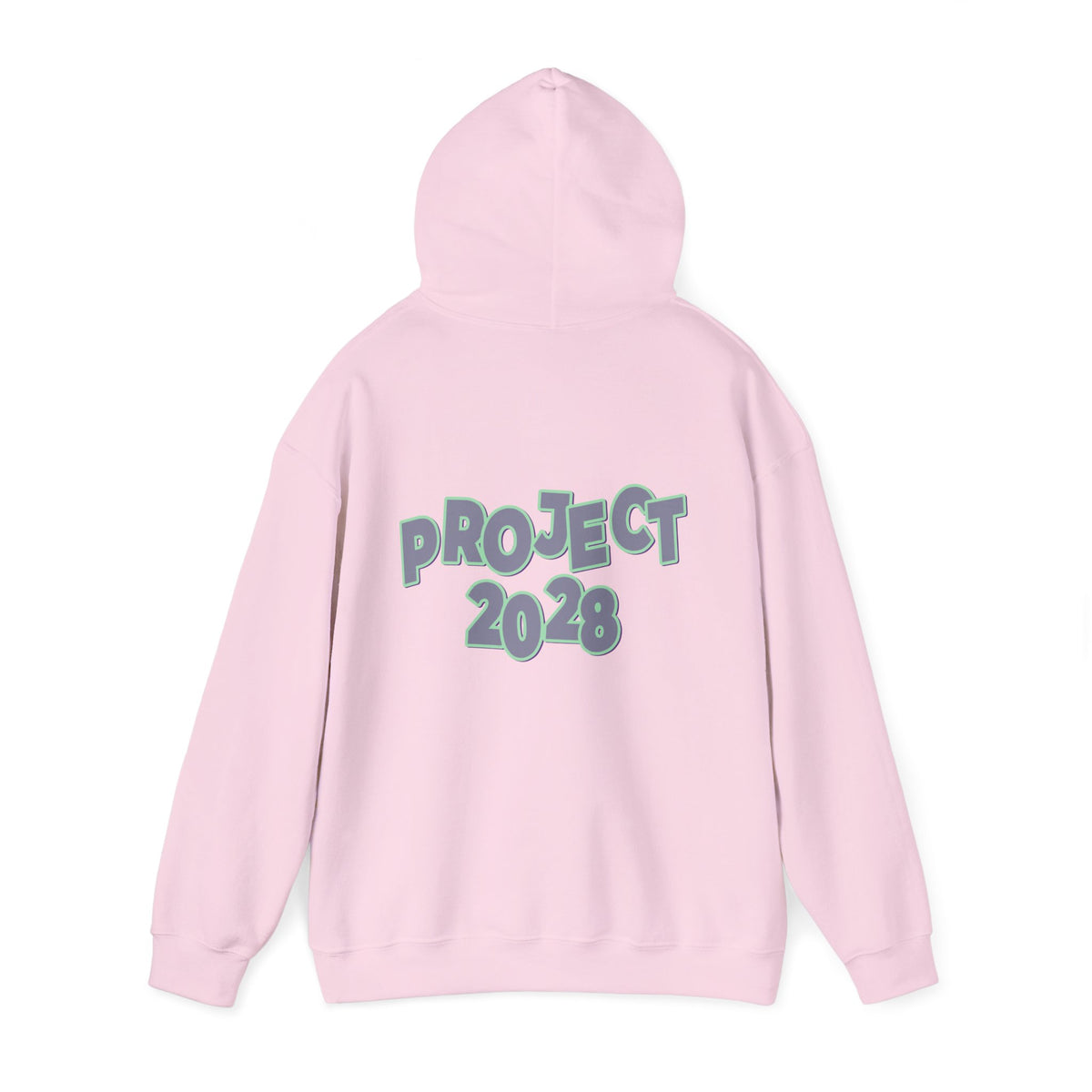 Project 2028 Hoodie | Protect Democracy graphic hoodie