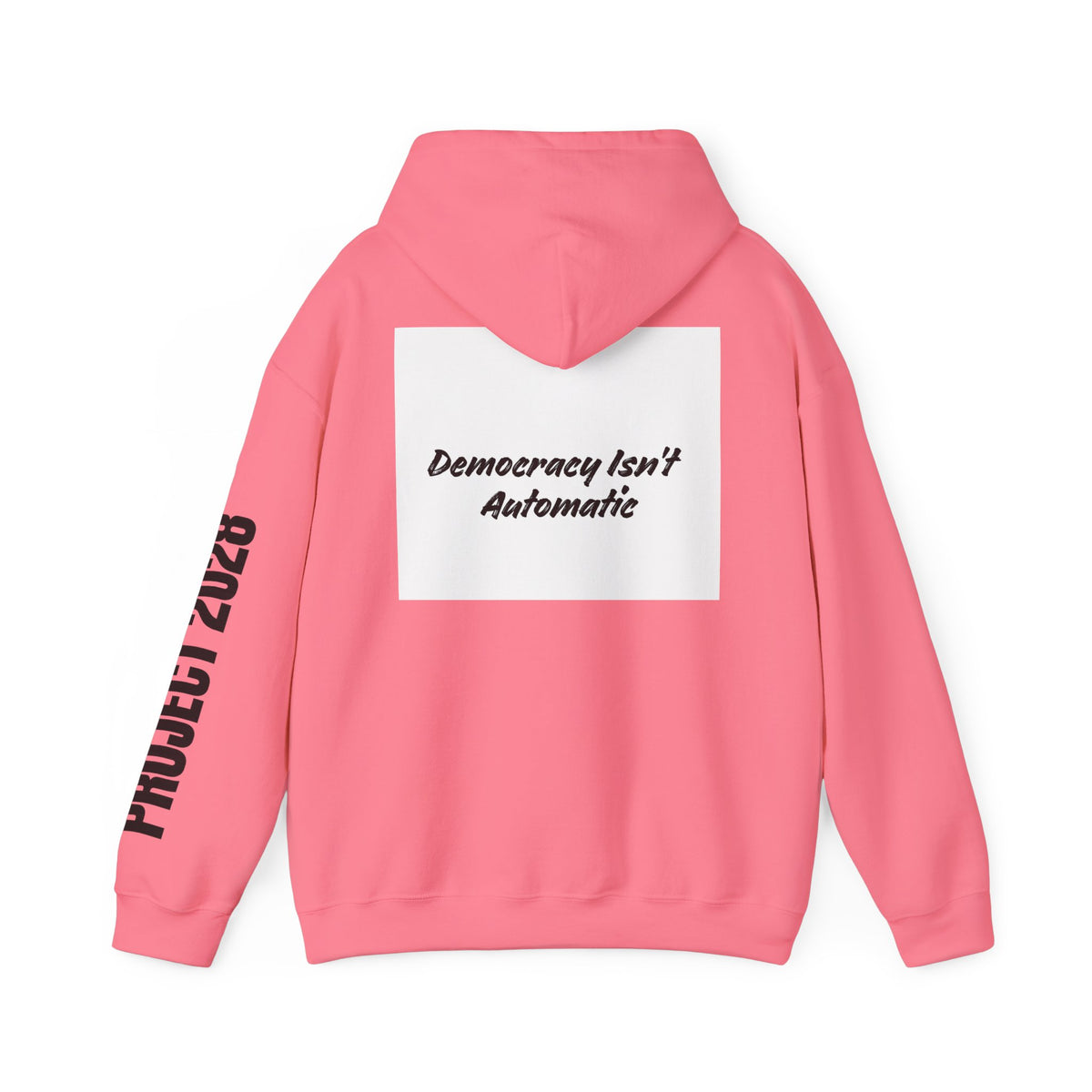 Protect Democracy Project 2028 Hoodie | Social Awareness
