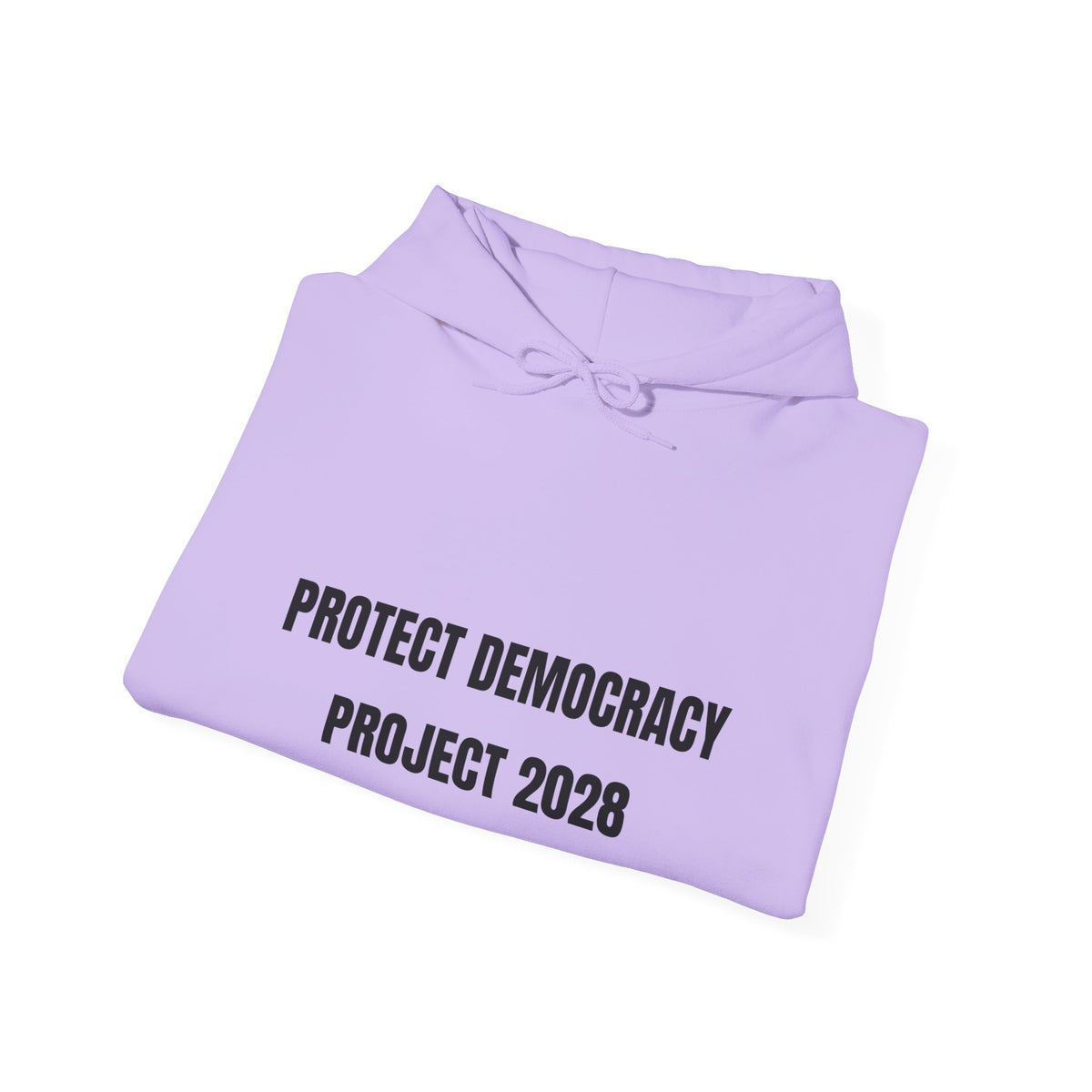 Protect Democracy Project 2028 Hoodie | Social Awareness