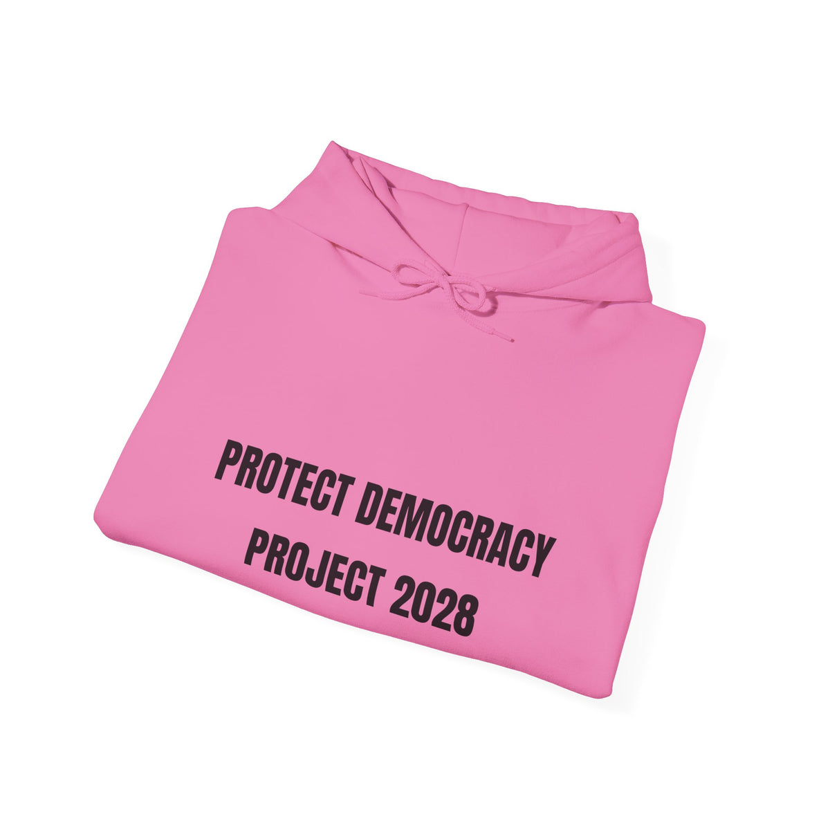 Protect Democracy Project 2028 Hoodie | Social Awareness