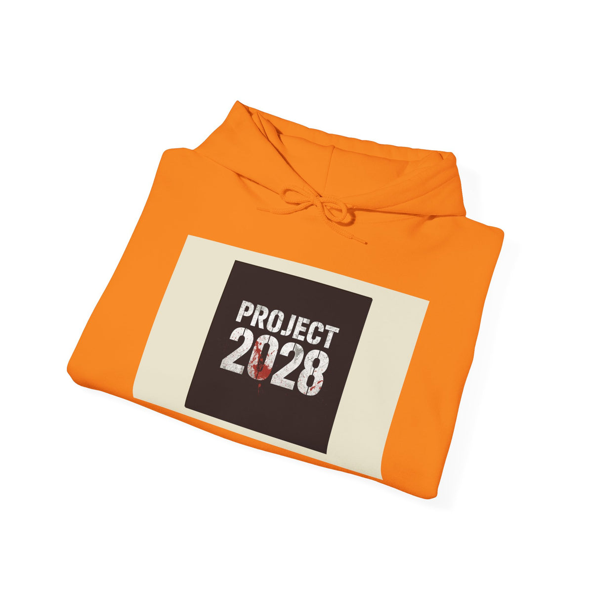 Product 2028 graphic hoodie | Democracy | Social Justice