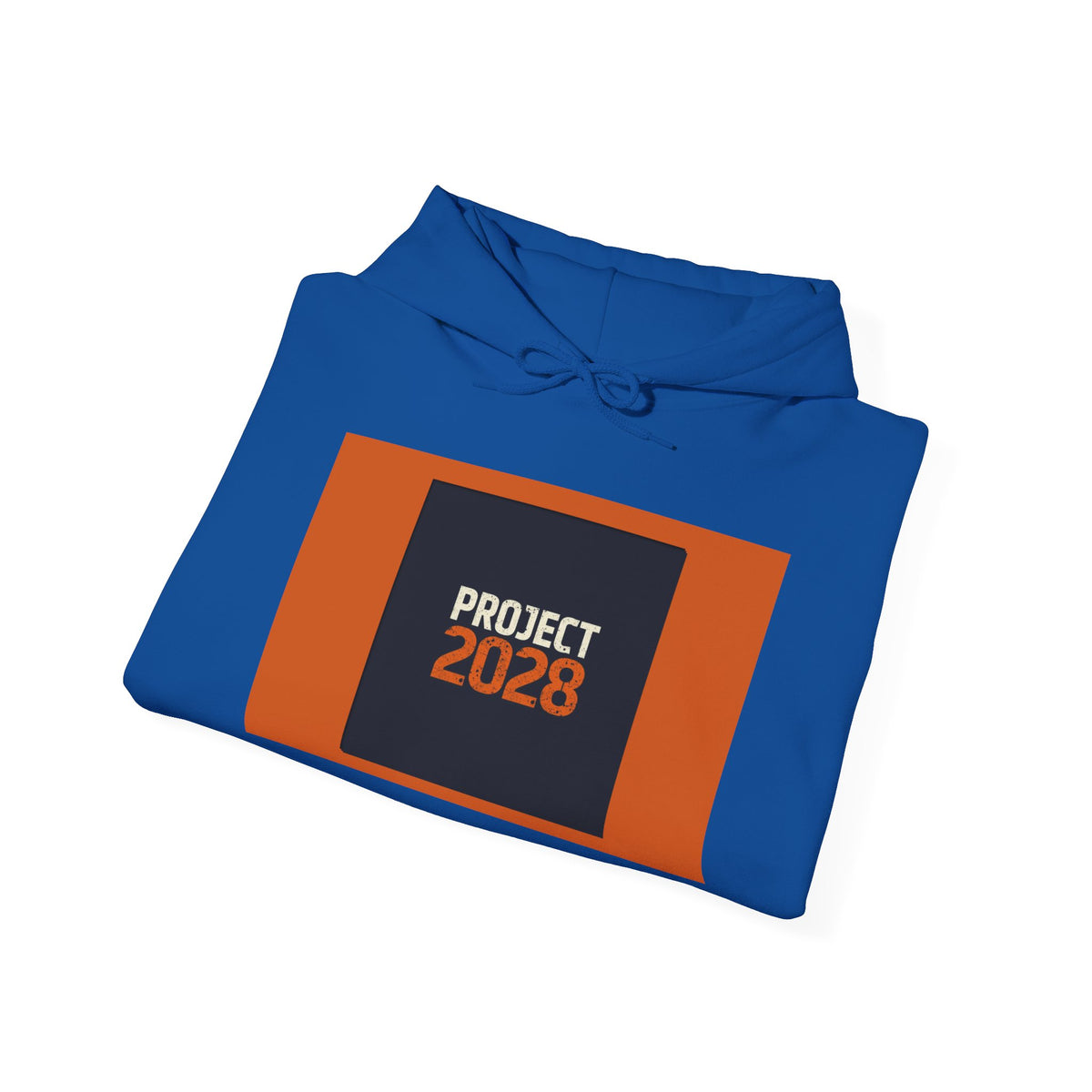 Project 2108 Graphic Hoodie | Democracy Isn't Automatic Back Print