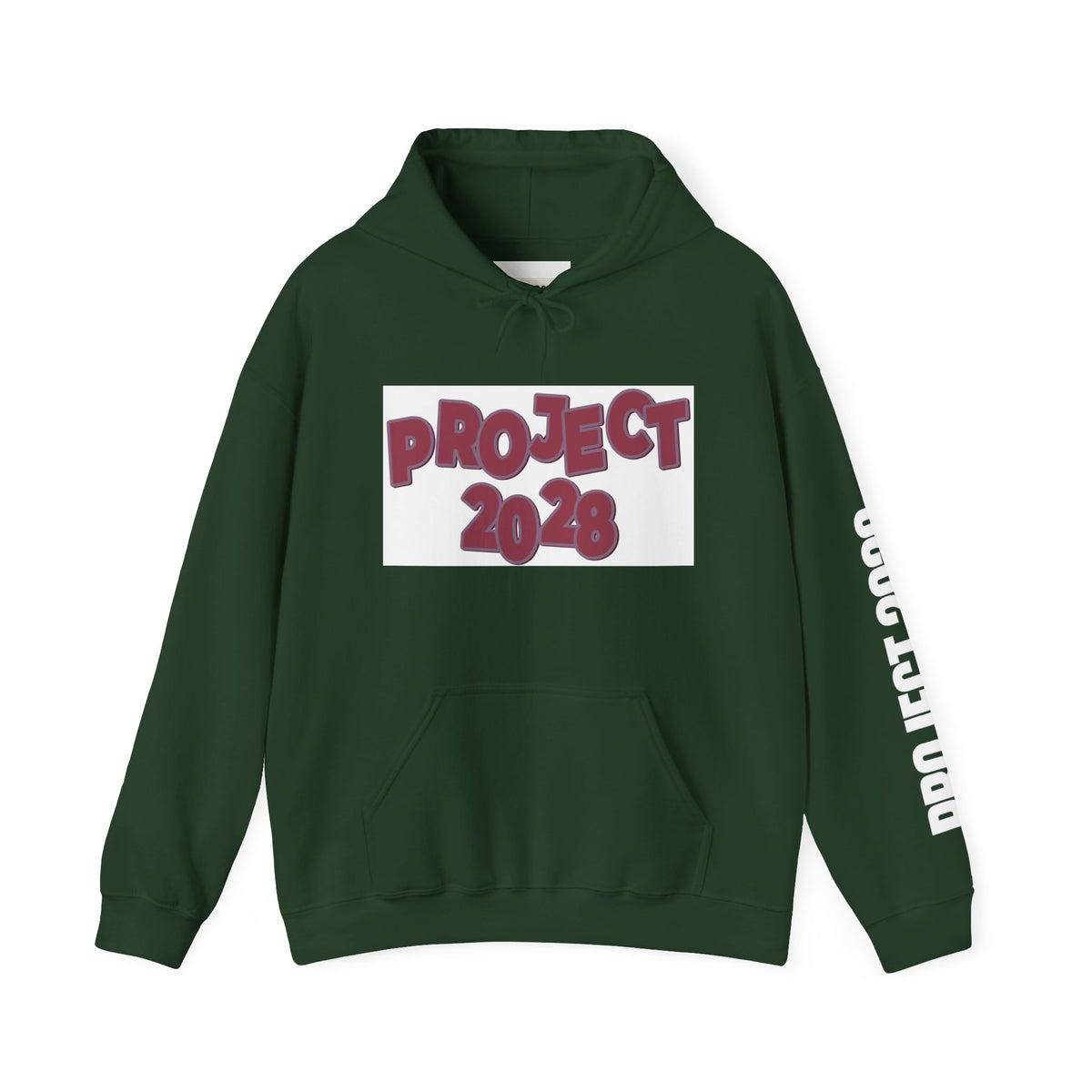Project 2028 hoodie | Democracy Isn't Automatic back print