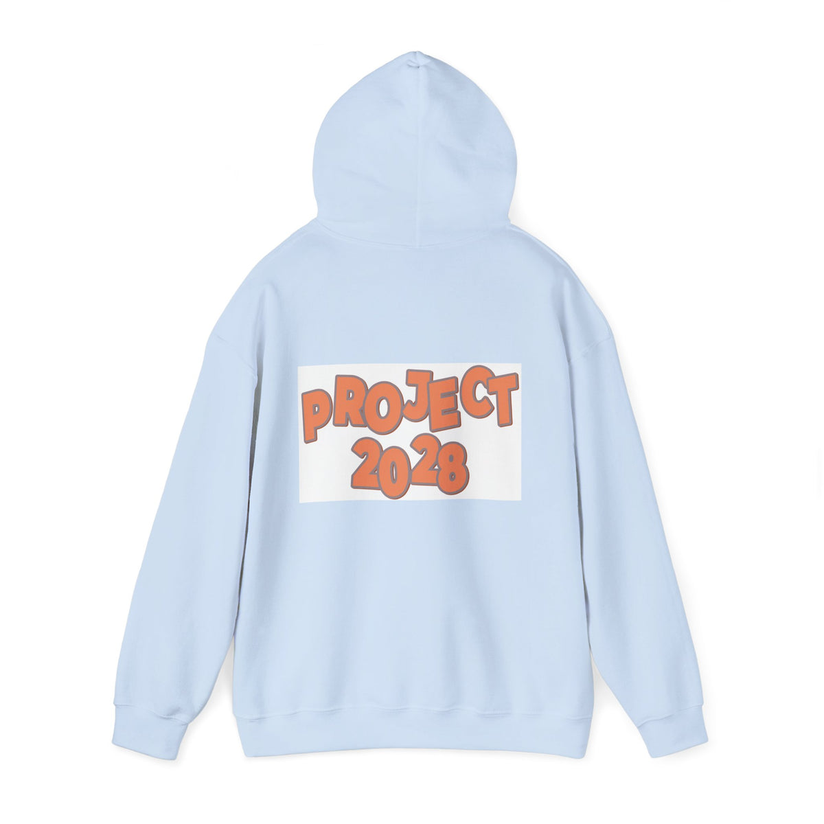Project 2028 Hoodie | Protect Democracy text design