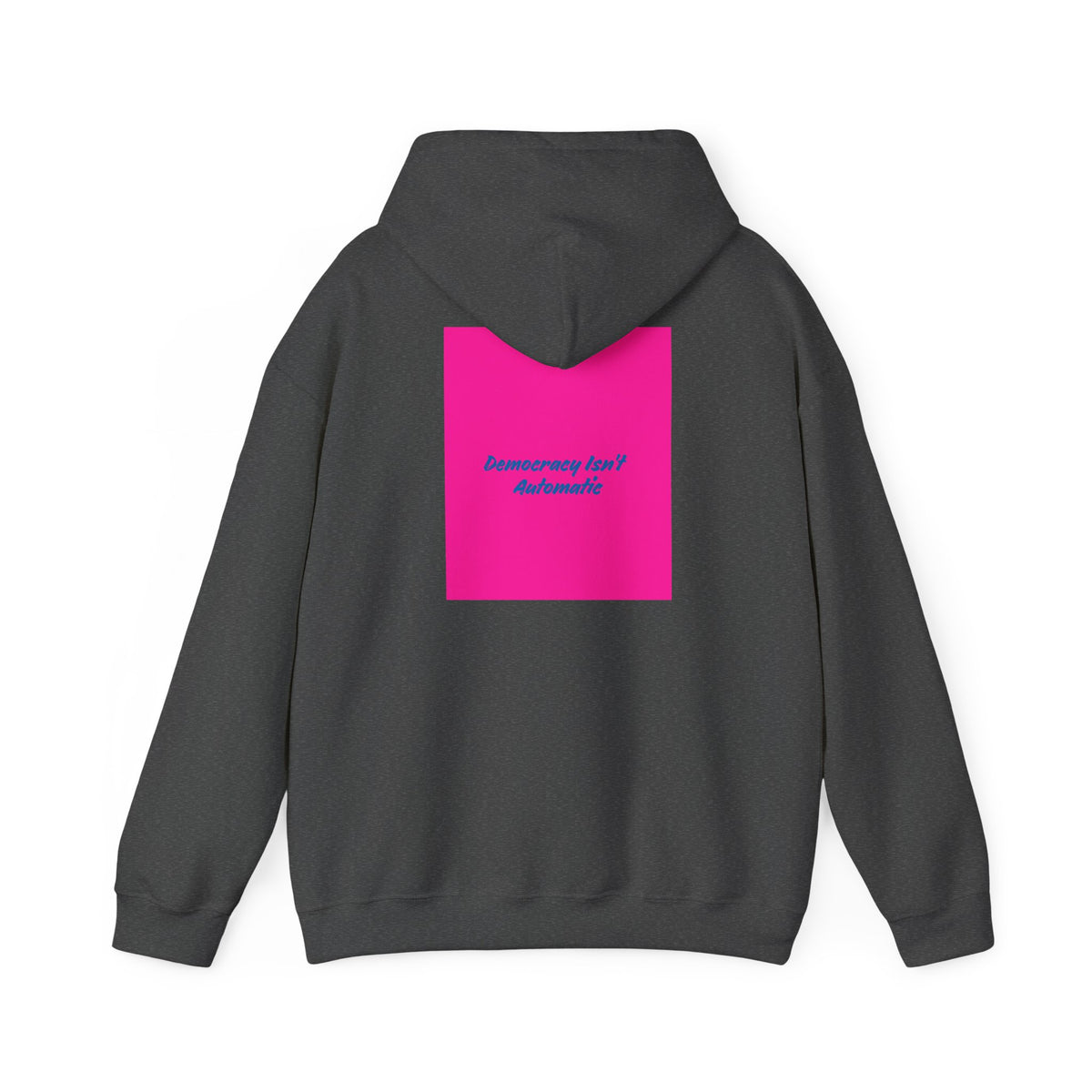 Project 2028 Hoodie | Social Awareness