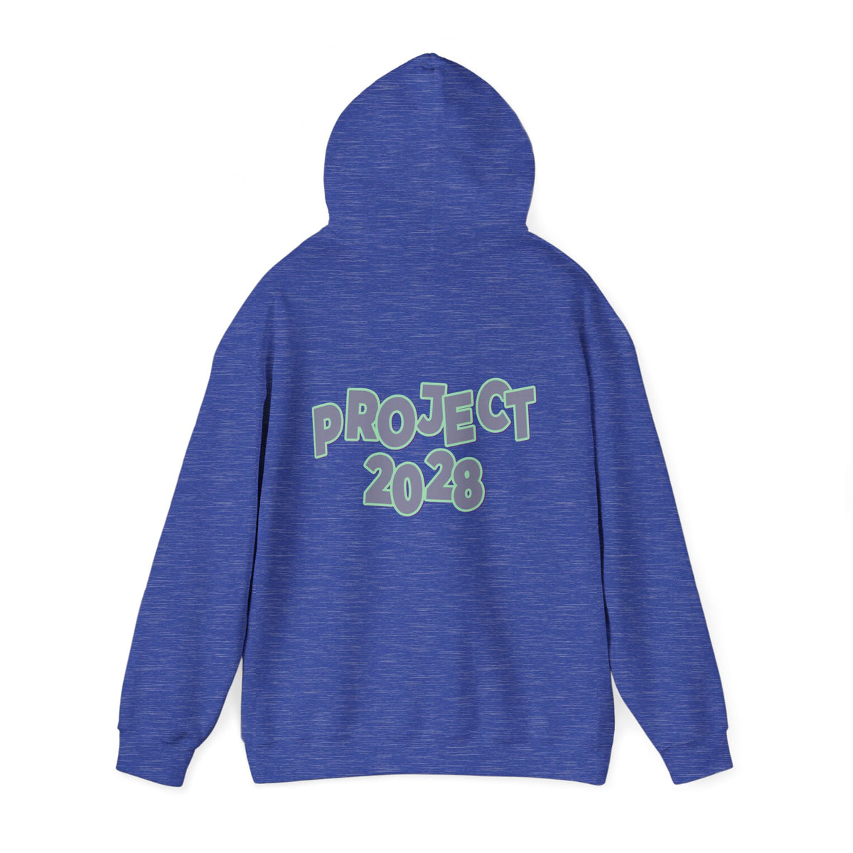Project 2028 Hoodie | Protect Democracy graphic hoodie