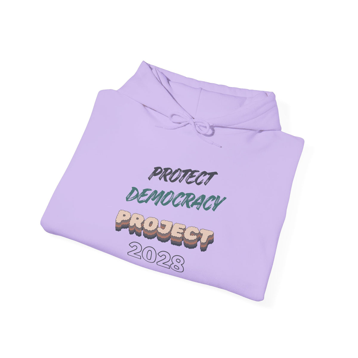 Project 2028 Hoodie | Protect Democracy graphic hoodie