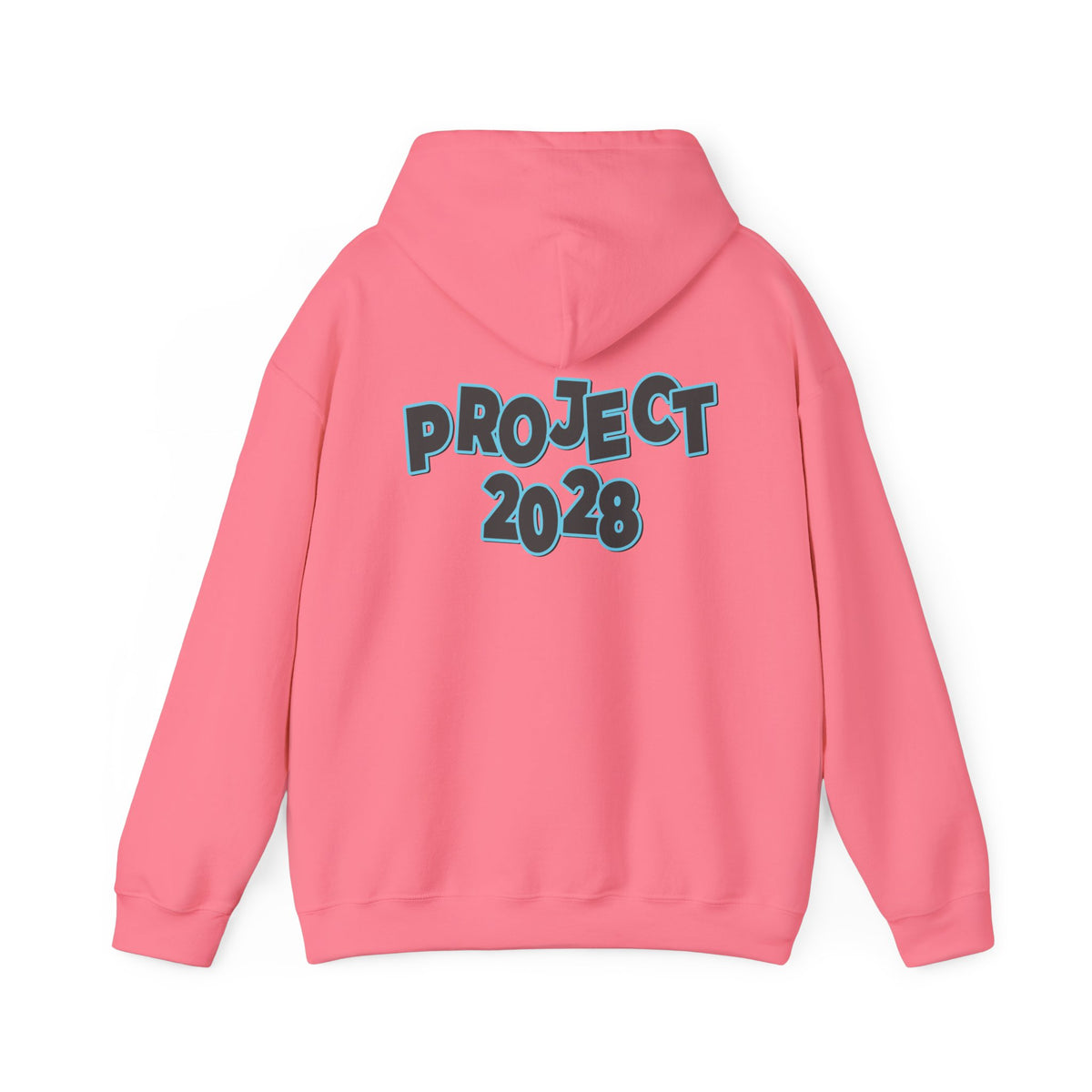 Project 2028 Hoodie | Protect Democracy, Project 2028 design